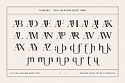 Charles - Chic Ligature Serif Font, a Serif Font by SilverStag Type Foundry (Thumbnail 24 of 31)