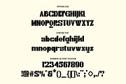 Furga, a Serif Font by Burnoth Design Co. (Thumbnail 12 of 12)