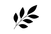 Botanical Leaf Silhouette Bundle, an Illustration by Creativeshirt (Thumbnail 49 of 51)