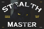 Broide – Display Serif, a Serif Font by Craft Supply Co. (Thumbnail 2 of 8)