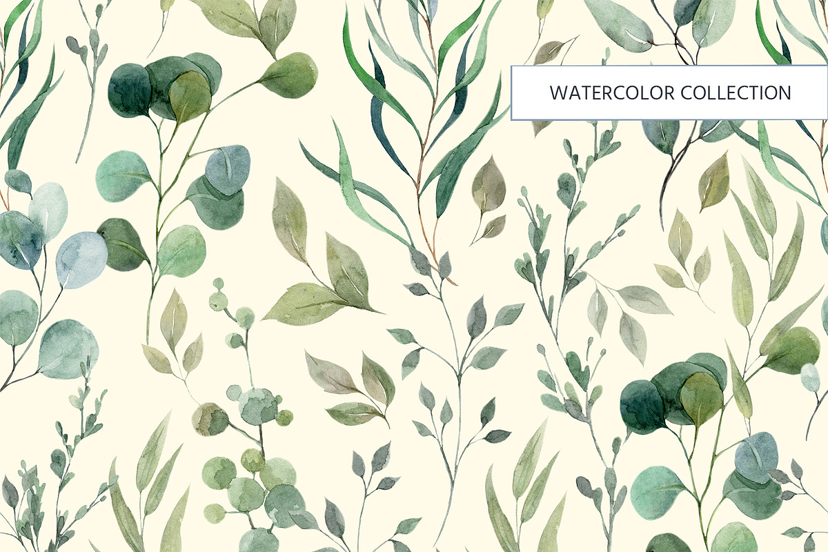 Herbal watercolor collection, a Pattern Graphic by HannaStudio (Photo 8 of 8)