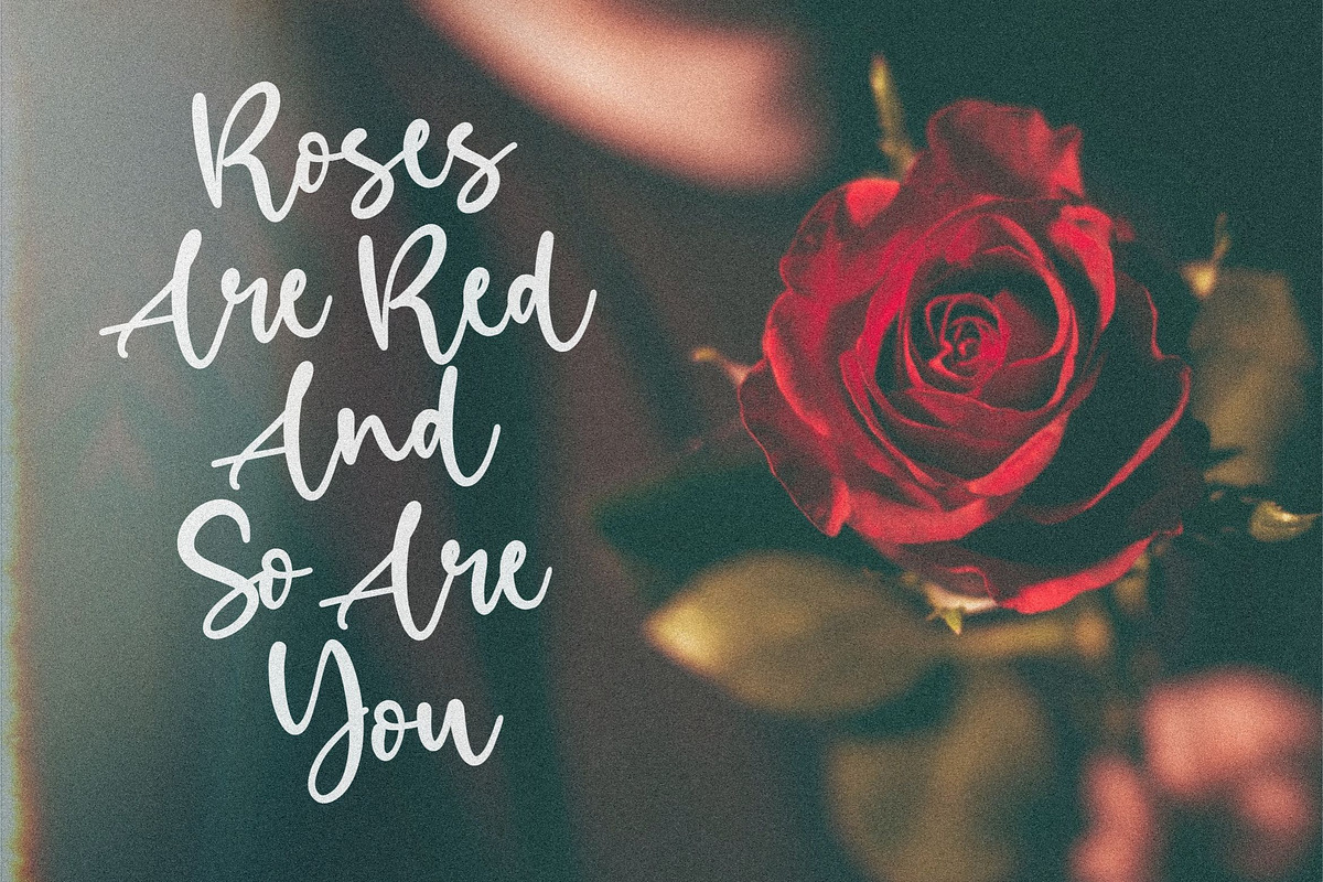 Birdlove - Handwritten Font, a Script Font by Letterative Studio (Photo 3 of 7)