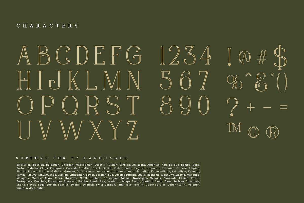 Timesky, a Serif Font by Nathatype (Photo 7 of 11)