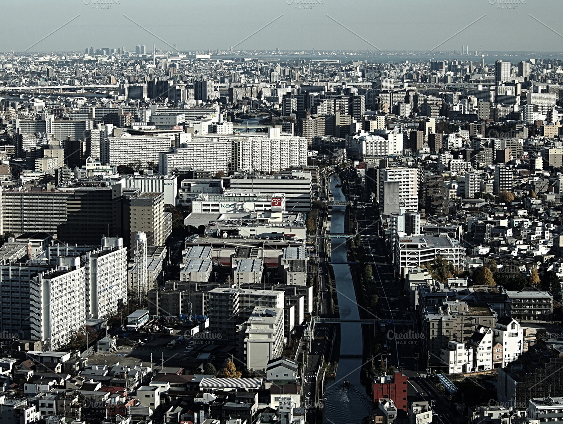 Tokyo from above!