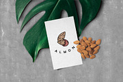 Nuts & seeds icons & logos, an Icon by Merfin (Thumbnail 3 of 9)