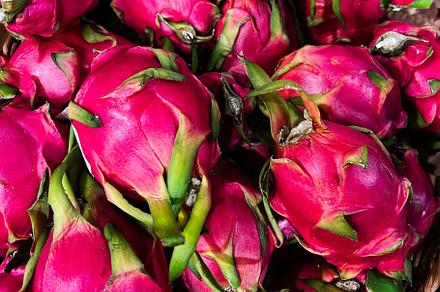 Close-up view of fresh vibrant pink dragon fruits displayed in a market, a Photo by AS photostudio