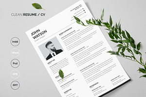 Word Resume Template / CV