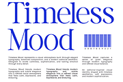 Vorello Modern Editorial Serif Font, a Serif Font by Rasio Studio (Thumbnail 6 of 9)