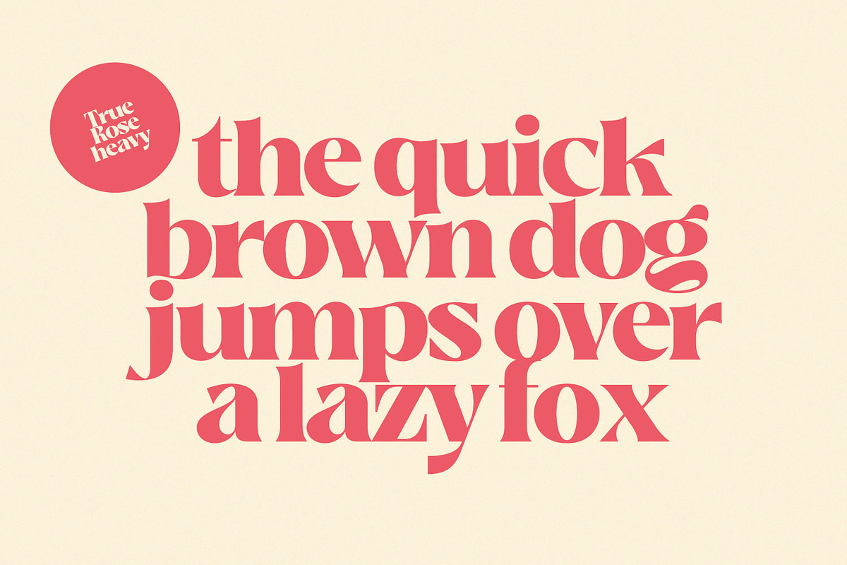 True Rose - Decorative Retro Serif, a Serif Font by creativemedialab (Photo 3 of 12)