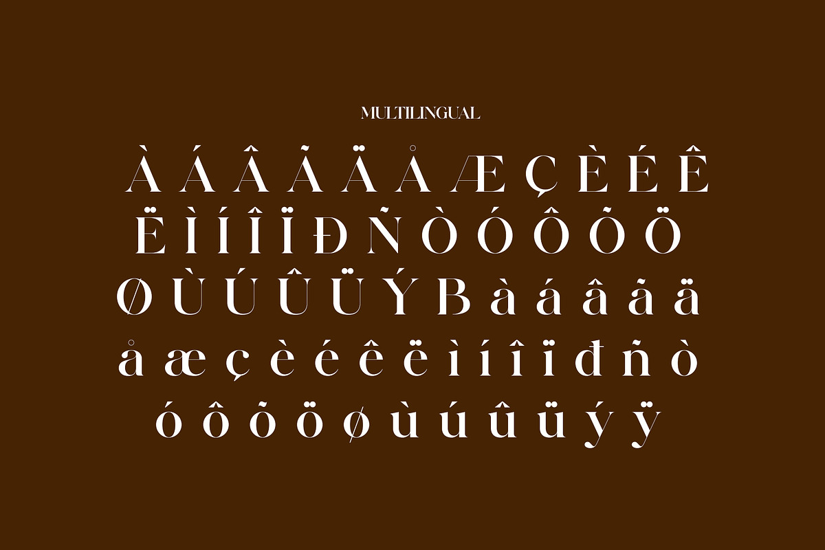 Belinda Modern Ligature Serif, a Serif Font by Alfinart (Photo 11 of 11)