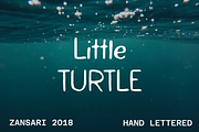 Little turtle hand painted font, a Sans Serif Font by zansari foundry (Thumbnail 1 of 3)