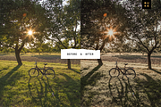 5 Tan Lightroom Presets Bundle, a Preset Add-On by SHOOM HOUSE (Thumbnail 8 of 8)