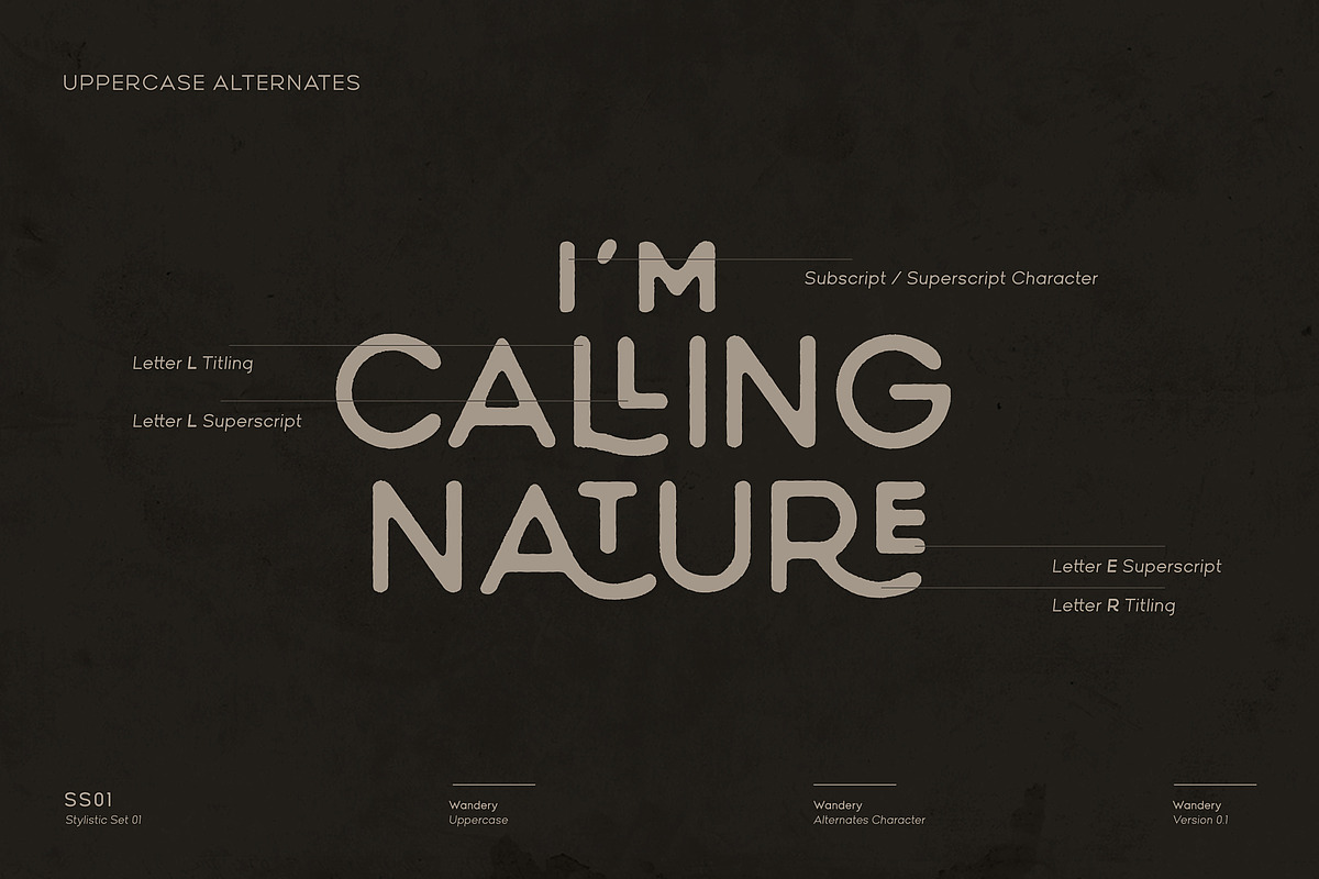 Wandery Modern x Vintage Typeface preview 8