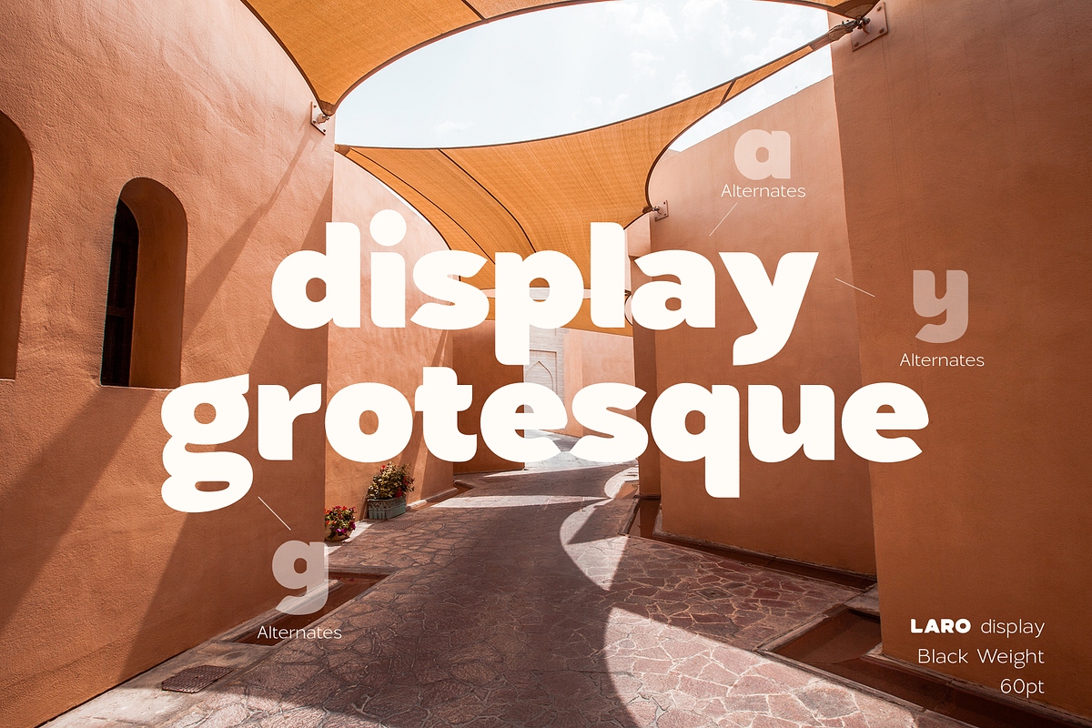 Laro Display Font Family, a Sans Serif Font by Larin Type Co. (Photo 7 of 13)