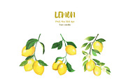 Lemon clip art, a Decorative Illustration by 7nov.studio (Thumbnail 6 of 6)