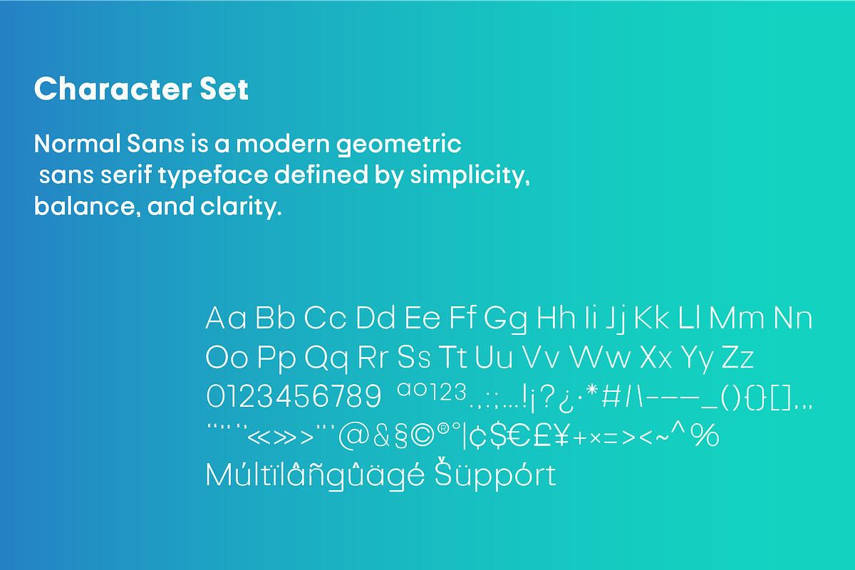 Normal Sans Geometric Font Family, a Font by PeanutButter Type (Photo 5 of 6)