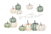 Sage and White Pumpkins Clipart, an Illustration by Sunflower Day Love (Thumbnail 2 of 4)