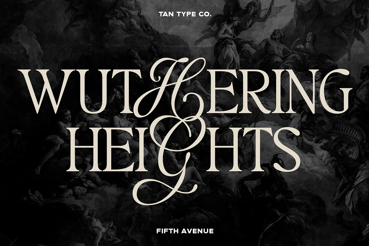 TAN - FIFTH AVENUE, a Serif Font by TanType (Photo 5 of 11)