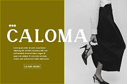Veronika Display Font, a Serif Font by Cut Story (Thumbnail 7 of 14)