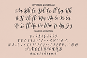 Belgian | Script Font, a Script Font by Scratchones (Thumbnail 8 of 8)