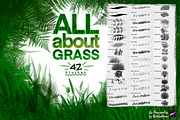 All about GRASS 42 brushes, a Brushes & More by Bluesssatan (Thumbnail 1 of 5)