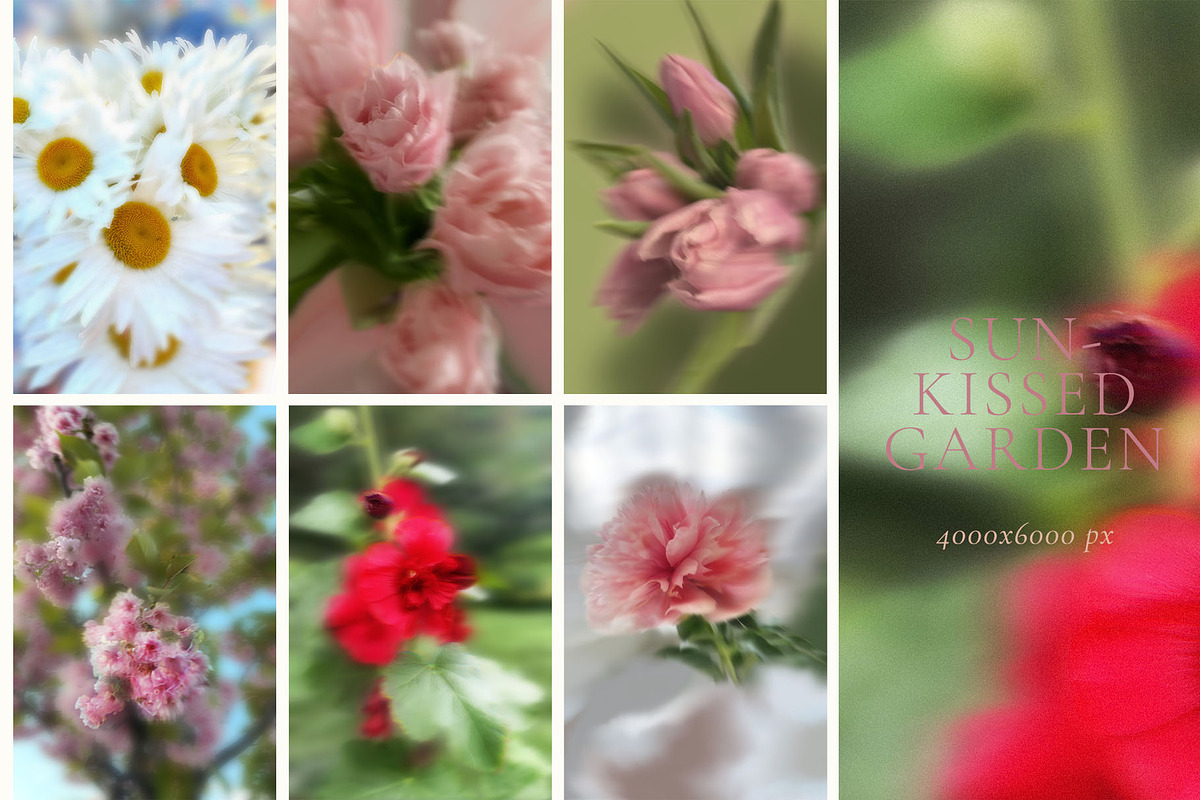 Blurry Flowers Abstract Backgrounds, a Background Graphic by Yuliya Derbisheva (Photo 9 of 15)