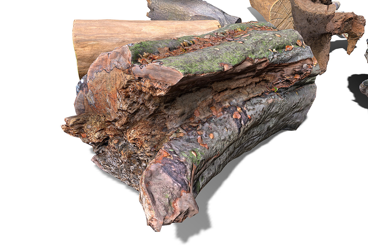13 Tree Logs, an Environmental 3D Model by Beatheart Creative Studio (Photo 35 of 37)