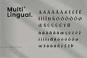 Bestigia Beauty Elegant Sans Font, a Sans Serif Font by Ronny Studio (Thumbnail 15 of 15)