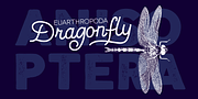 Nauticus, a Sans Serif Font by GRIN3 (Nowak) (Thumbnail 2 of 6)