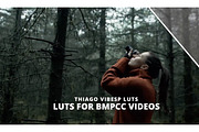 BMPCC LUTs + Ebook+ Website Template, a Preset Add-On by Creative House (Thumbnail 3 of 7)