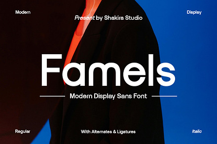 Famels - Modern Sans Serif, a Sans Serif Font by Shakira Studio