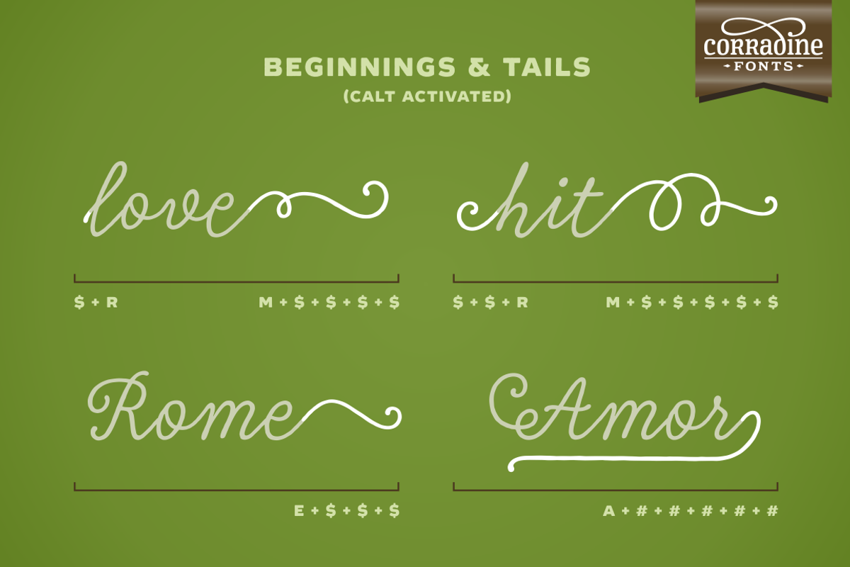 Tierra Script, a Script Font by Corradine Fonts (Photo 9 of 15)