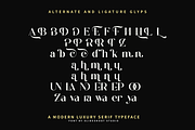 Zalerin || Modern Serif Typeface, a Serif Font by Idea Studio (Thumbnail 12 of 12)