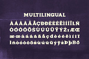 Pesolima - Bold Display Font, a Slab Serif Font by takoliko (Thumbnail 10 of 11)