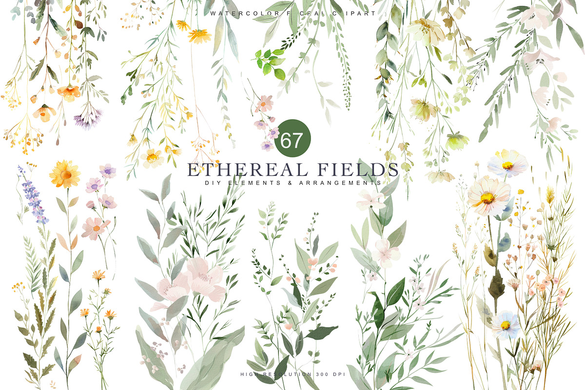 Watercolor Delicate Wildflowers, a Decorative Illustration by Patishop Art (Photo 1 of 7)