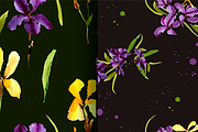 №3 Set watercolor irises vector, a Decorative Illustration by Rasveta (Thumbnail 4 of 5)