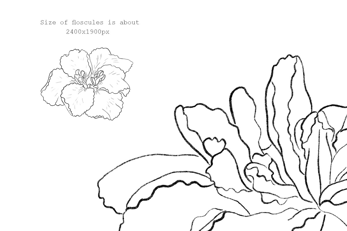 Flowers Line Arts Clipart, an Illustration by natalisart (Photo 9 of 11)