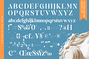 Blush Angeles Modern Serif Font, a Serif Font by timelesstype.co (Thumbnail 18 of 20)