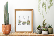 Cacti watercolor collection, an Object Illustration by Skliarova (Thumbnail 9 of 10)