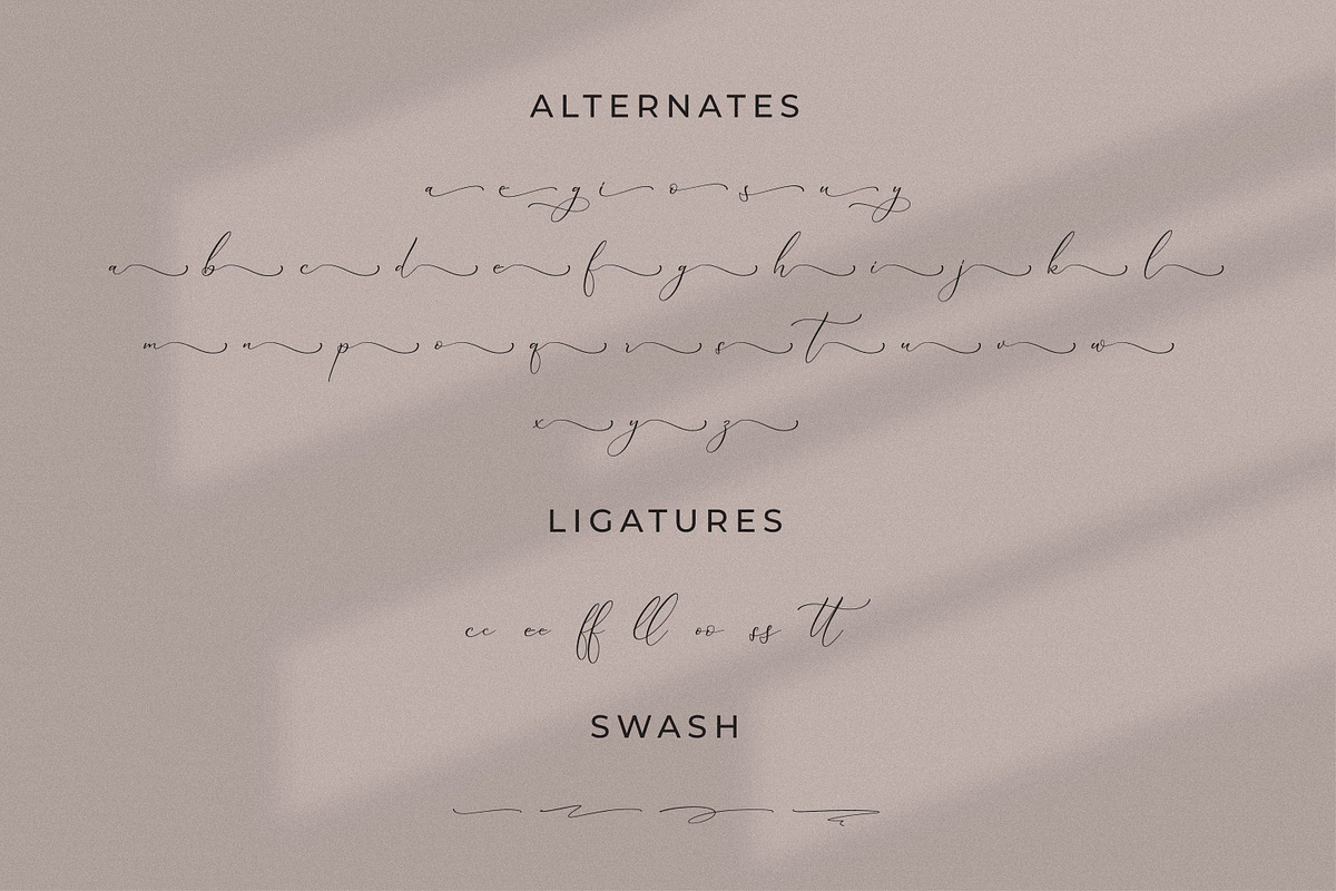 Qinarsi, a Script Font by Integritype Studio (Photo 10 of 15)