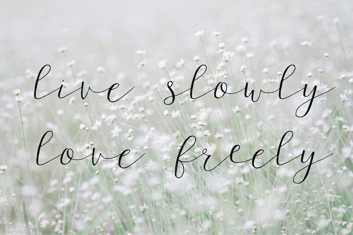 Wagon wheel Script Font preview 4