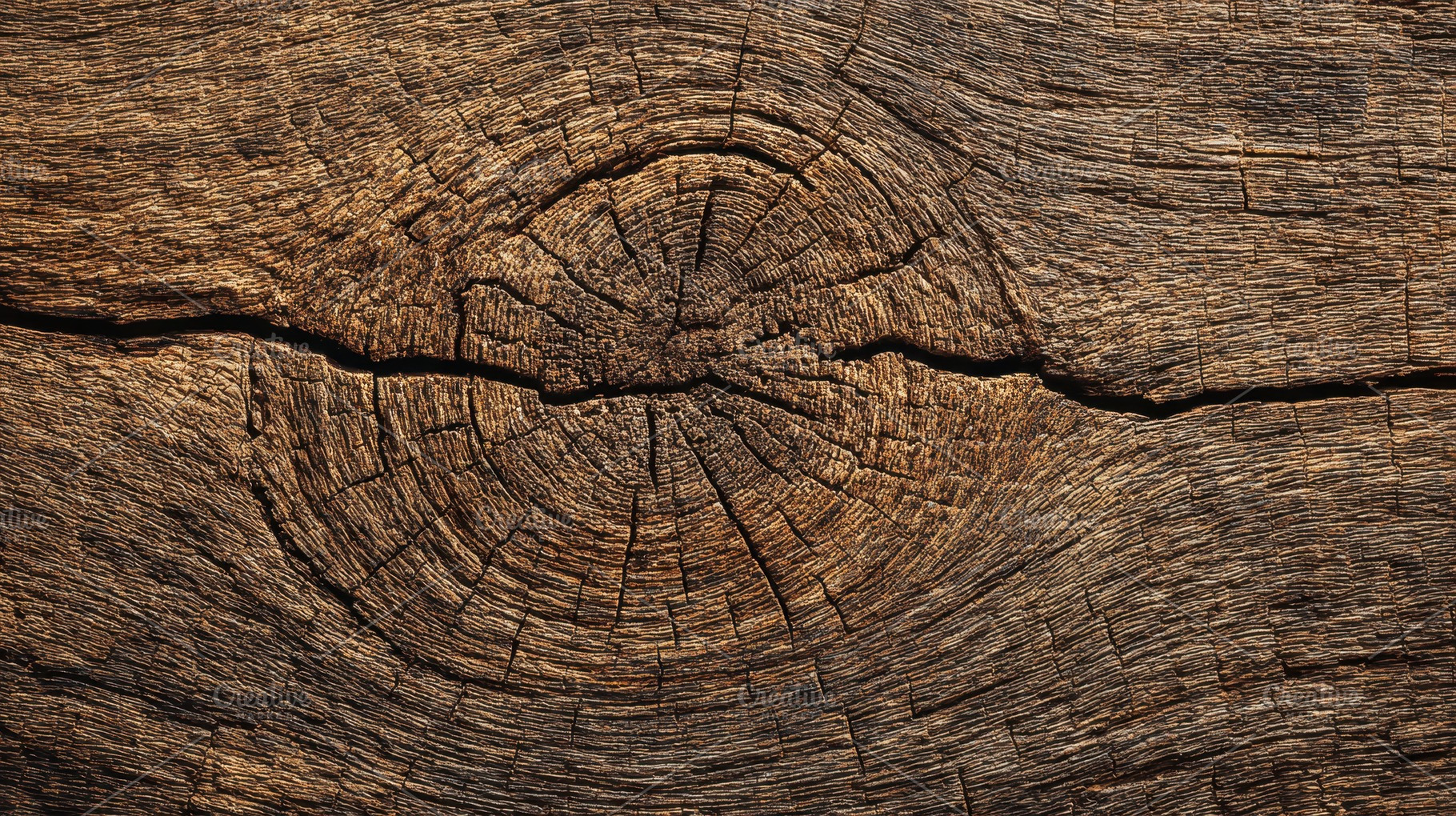 Detailed view of aged wood texture, a Photo by Pavel_design