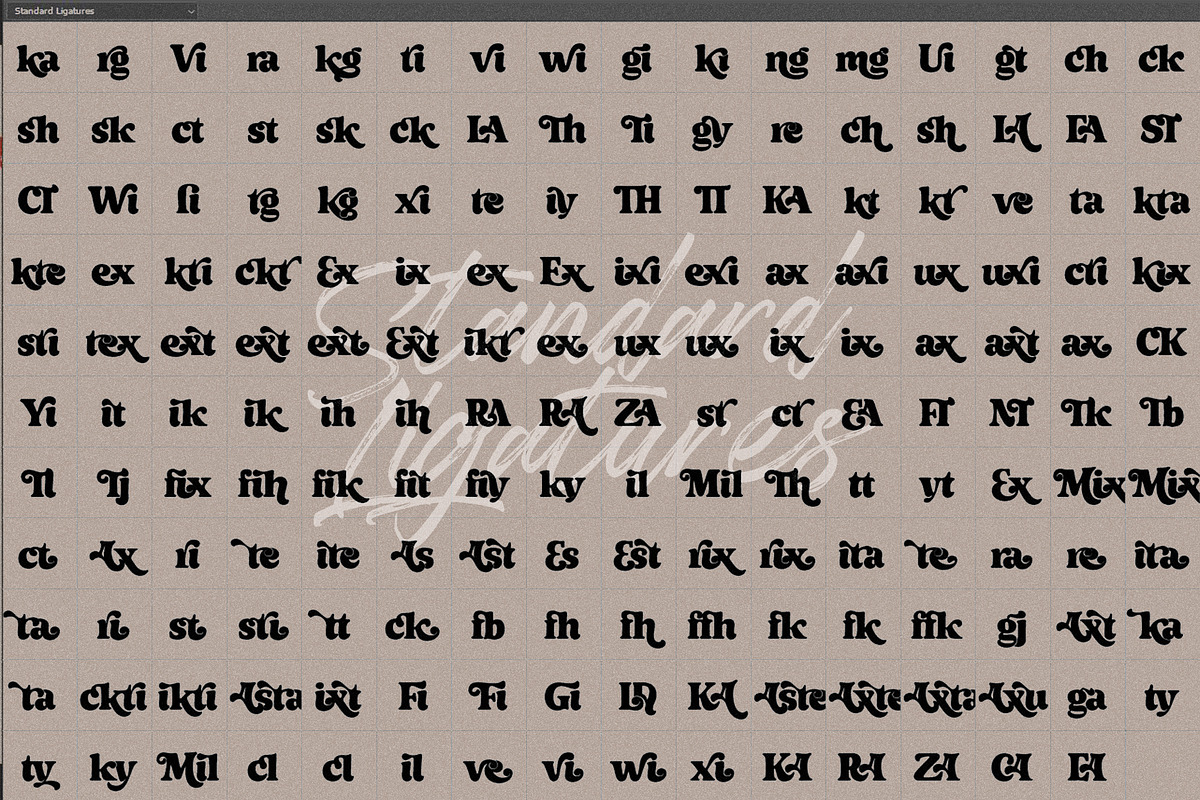 Axstura Jm, a Serif Font by joelmaker (Photo 31 of 31)