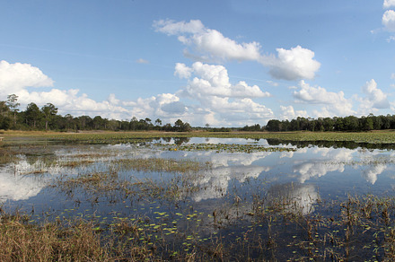 Lake in Gold Head Branch State Park