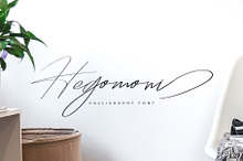 Hegomoni Signature