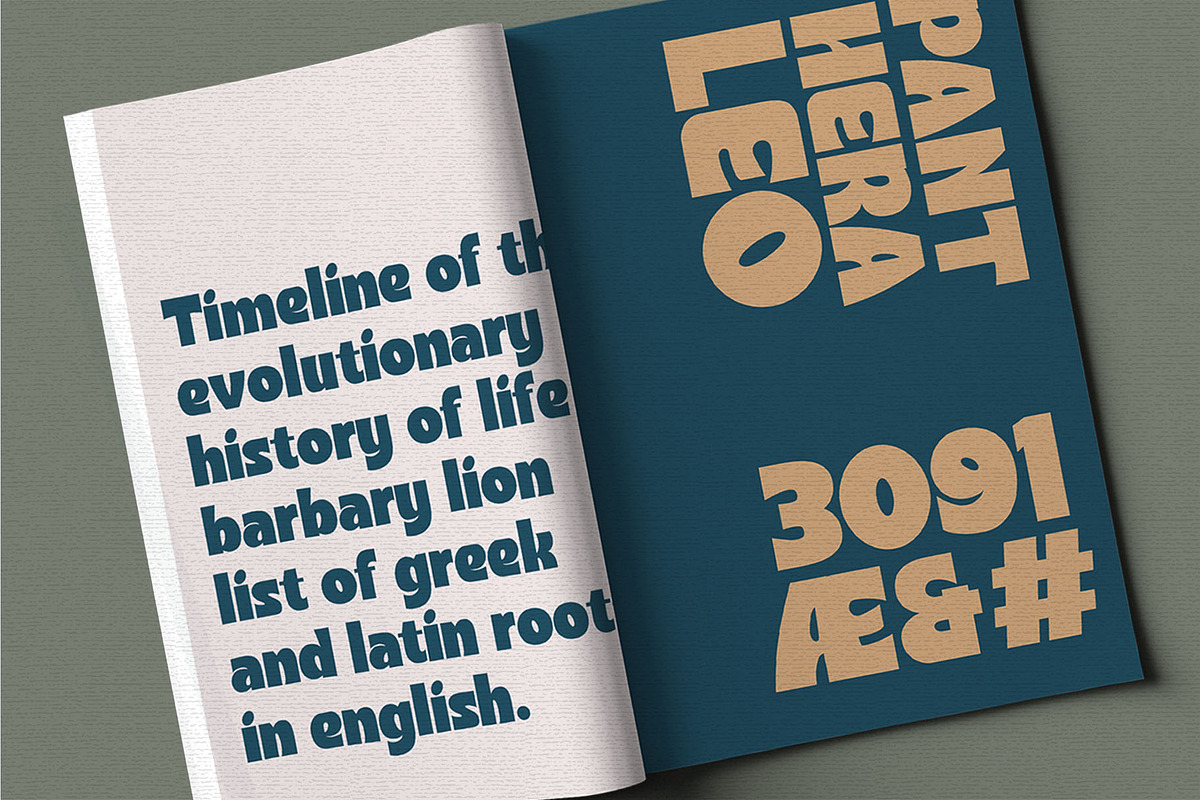Foligio Font, a Sans Serif Font by Rasiorise Studio (Photo 7 of 13)