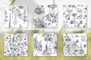 Wildflower Meadow Vector Set, a Decorative Illustration by Molly art (Thumbnail 8 of 12)