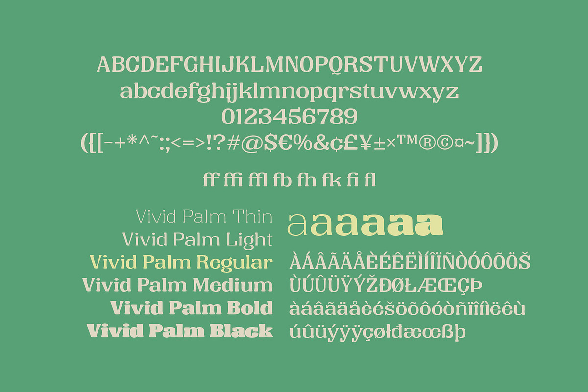 Vivid Palm | Display Font, a Serif Font by Lemonthe (Photo 7 of 7)