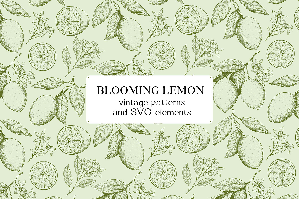 Lemon branches pattern and elements, a Food Illustration by Robusta (Photo 1 of 5)