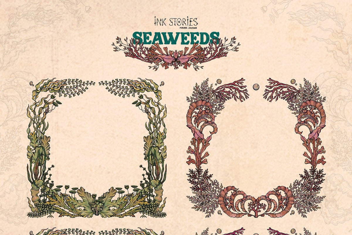 Seaweeds, an Object Illustration by Ink Stories (Photo 14 of 24)